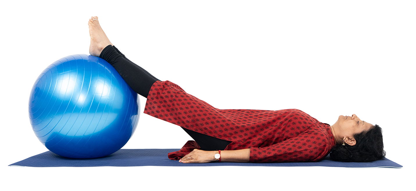 Kneesy Rehab Professional